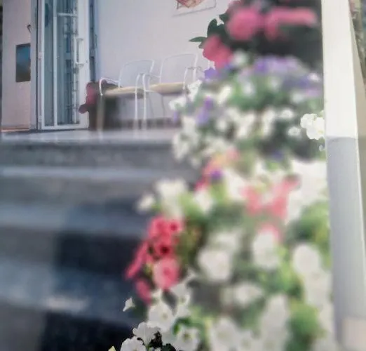 Marina Апарт-готель Алассіо